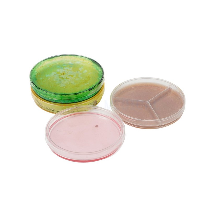 Plastic Coloured Petri Dishes Priced Individually 